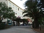 Cliquez ici pour voir l'image (porquerolles_2007_aist_068.jpg)