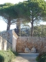 Cliquez ici pour voir l'image (porquerolles_2007_aist_085.jpg)