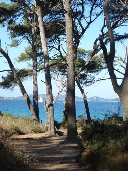 porquerolles 2007 aist 089