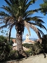 Cliquez ici pour voir l'image (porquerolles_2007_aist_099.jpg)
