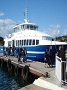 Cliquez ici pour voir l'image (porquerolles_2007_aist_110.jpg)
