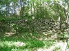 Cliquez ici pour voir l'image (11-mur.jpg)